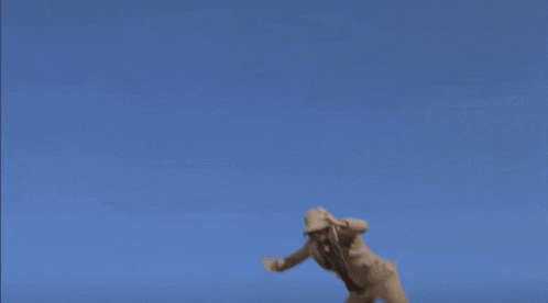 a person is hanging from a rope in the air