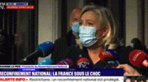 Marine Le Pen Interview GIF - Marine Le Pen Interview Amstramgram GIFs