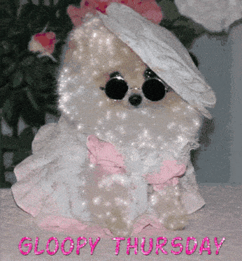 a small dog wearing sunglasses and a hat with the words gloopy thursday in pink