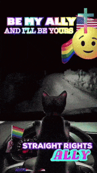 a cat is sitting in a car with a rainbow flag and a smiley face with the words straight rights ally