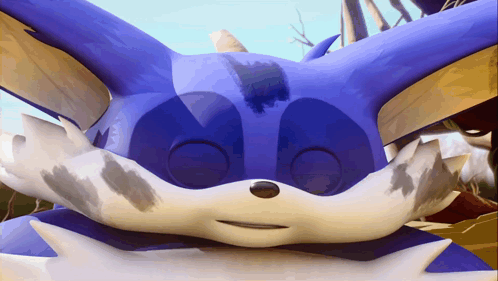 Sonic Prime Hangry Cat GIF - Sonic Prime Hangry Cat Cute Eyes GIFs