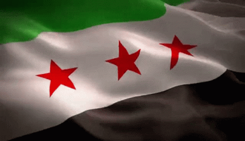 Ekrembugradenktas Suriye GIF - Ekrembugradenktas Suriye özgürsuriye GIFs