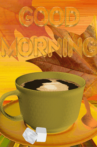 Morning Bonjour GIF - Morning Bonjour Café GIFs