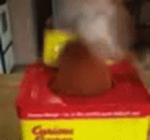 Curious George Jack In The Box GIF - Curious George Jack In The Box Talk01 GIFs