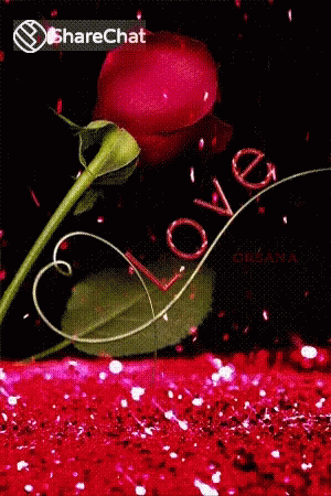 Love Rose GIF - Love Rose I Love You GIFs
