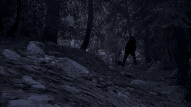 a man walking through a dark forest with trees and rocks