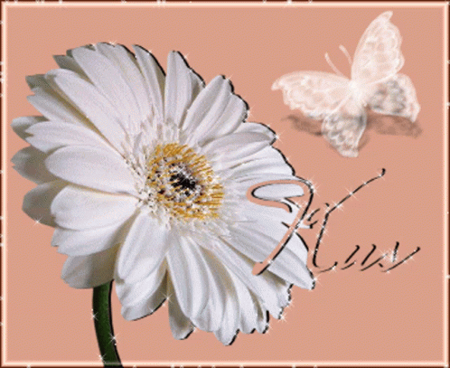 Kus Flower GIF - Kus Flower Sparkle GIFs