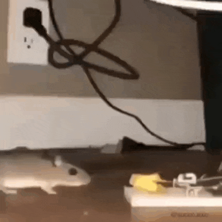 a mouse is sitting on a table next to a charger and a power cord .