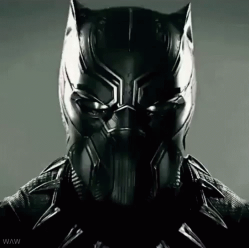 Black Panther Marvel Cinematic Universe GIF - Black Panther Marvel Cinematic Universe Marvel GIFs