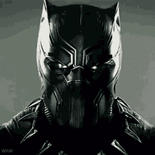 a close up of a black panther 's face with a gray background