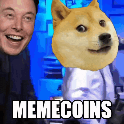 elon musk is smiling next to a doge that says memecoins on it