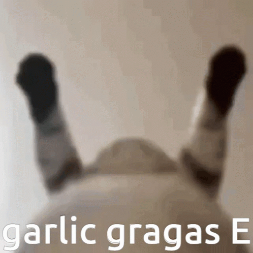 Garlic Mitada GIF - Garlic Mitada Gragas GIFs