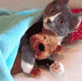 睡觉了，晚安，猫咪，拥抱 GIF - Cat Cuddle Teddy GIFs