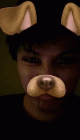Andres Snapchat GIF - Andres Snapchat Doggie GIFs