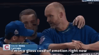 Anthony Rizzo Glass Case Of Emotion GIF - Anthony Rizzo Glass Case Of Emotion World Series GIFs