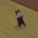 Cat Breakdancing GIF - Cat Breakdancing Sims GIFs