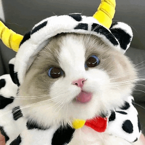 a cat wearing a cow costume with horns is sticking its tongue out .