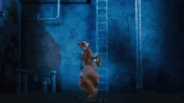 a man is standing in a dark room with a ladder .