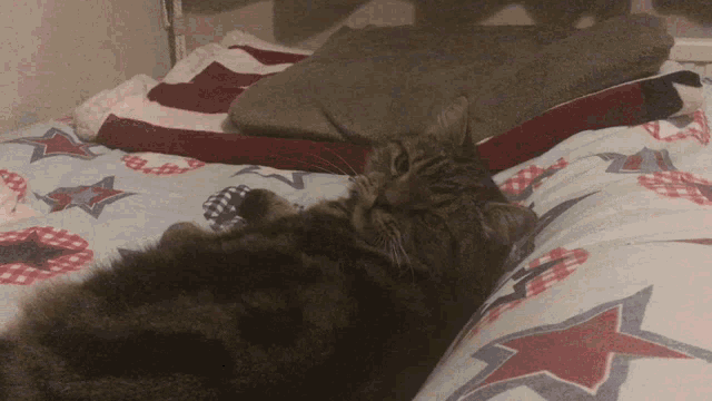 a cat laying on a bed with a red white and blue blanket with stars on it