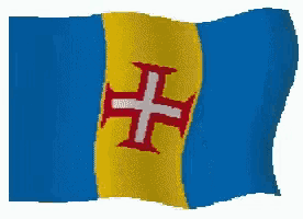 a blue and yellow flag with a red cross in the middle