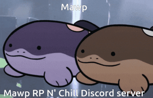 two cartoon frogs are standing next to each other with the caption mawp rp n chill discord server