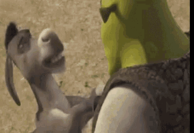 shrek and donkey from shrek are standing next to each other in the desert .