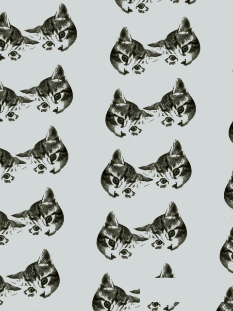 a seamless pattern of cat faces on a grey background