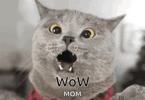 a close up of a cat with its mouth open and the words wow mom written on it .