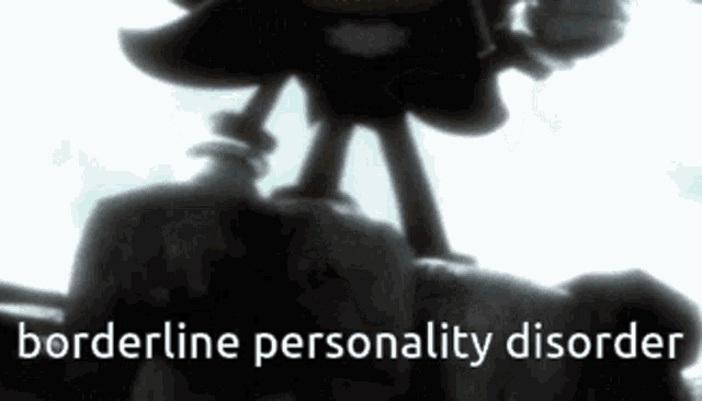 shadow the hedgehog is standing on top of a rock with the words borderline personality disorder written below him