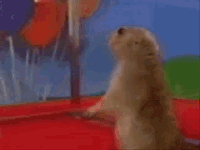 a blurred image of a prairie dog looking at the camera .