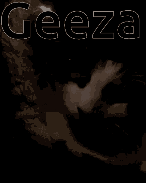 Geeza Catblacknwhite GIF - Geeza Catblacknwhite Catfood GIFs