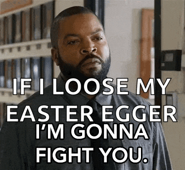 ice cube says if i loose my easter egger i 'm gonna fight you