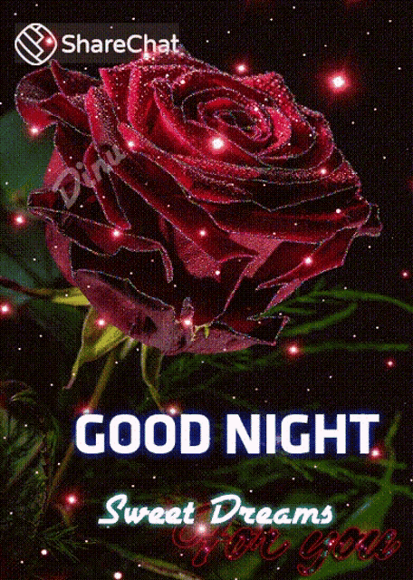 Good Night Sweet Dreams GIF - Good Night Sweet Dreams For You GIFs