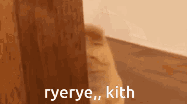 a cat peeking out from behind a door with the words ryerye kith written on it