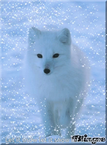 Snow Day Fox GIF - Snow Day Fox Let It Snow GIFs