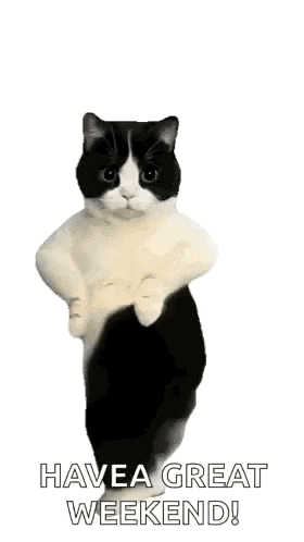 a black and white cat is sitting on a white surface with the words `` have a great weekend '' .