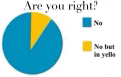 a pie chart that says are you right no but in yells