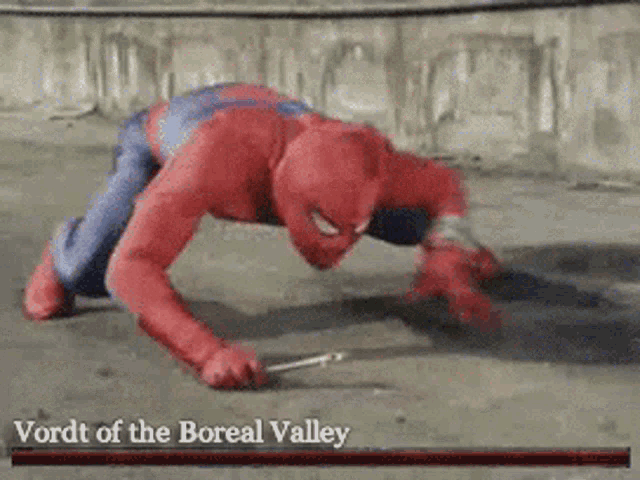 Vordt Of The Boreal Valley GIF - Vordt Of The Boreal Valley GIFs
