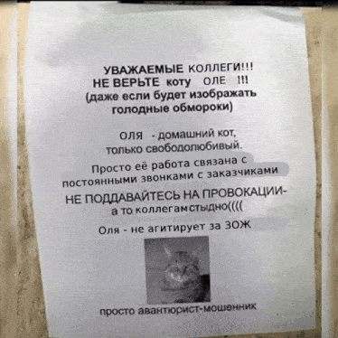 a piece of paper with a picture of a cat on it in russian
