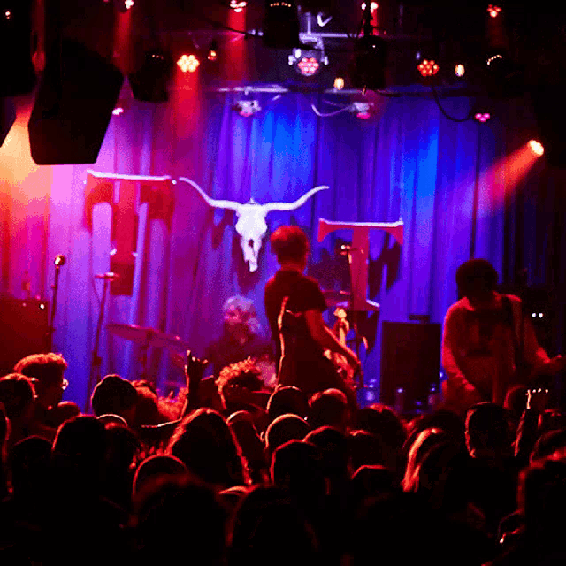 a crowd of people are watching a band on stage with a skull in the background