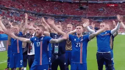 Argentina World Cup GIF - Argentina World Cup Iceland GIFs