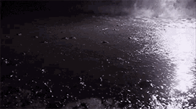 Group Of Turtles National Geographic GIF