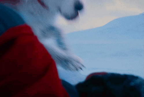 a blurry picture of a person and a dog