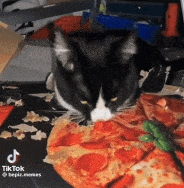 a black and white cat is eating a pepperoni pizza on a table