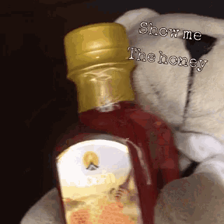 a teddy bear is holding a bottle of honey with the words show me the honey above it