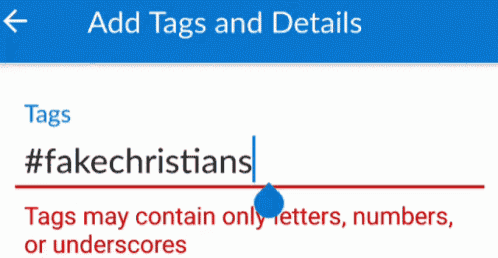a screenshot of the add tags and details screen on a phone