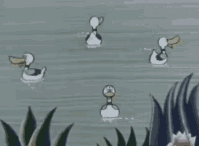 Duck Ducks GIF - Duck Ducks Duckling GIFs
