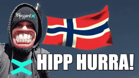 a man wearing a hooded jacket and a sweater that says wizzard stands in front of a norwegian flag