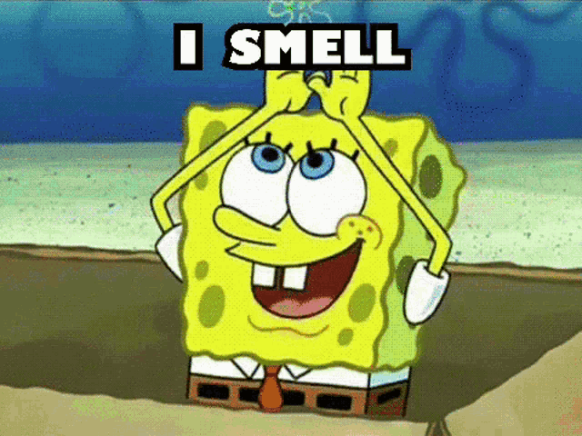 a cartoon of spongebob saying " i smell "