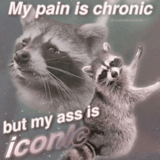 a picture of a raccoon with a caption that says " my pain is chronic but my ass is iconic "
